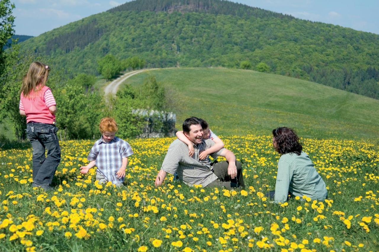 Sporthotel Zum Hohen Eimberg Willingen (Upland)